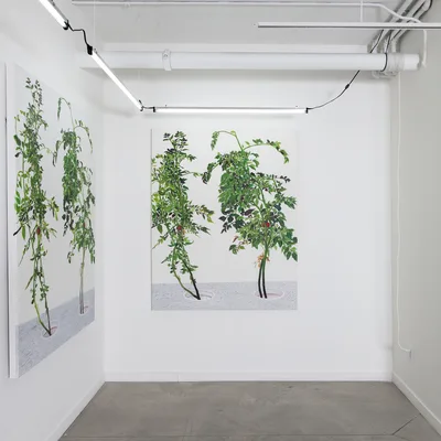 20150226 Alex Fischer 1 7 and 6000 O'Born Contemporary 13 VII 陈山 Chen Shan documentation.jpg